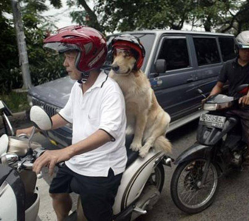 Facebook KementrianHumorIndonesia