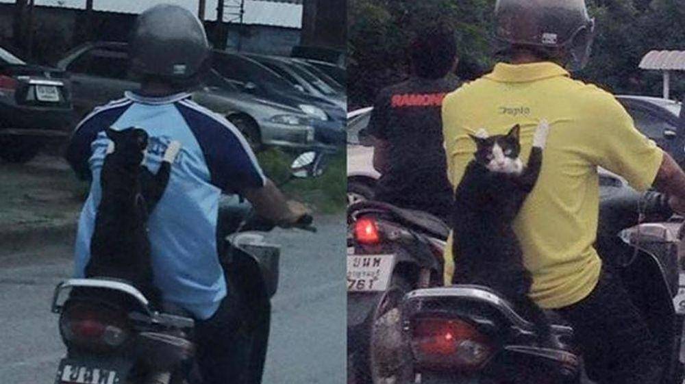 Facebook kegiatan warga hari ini