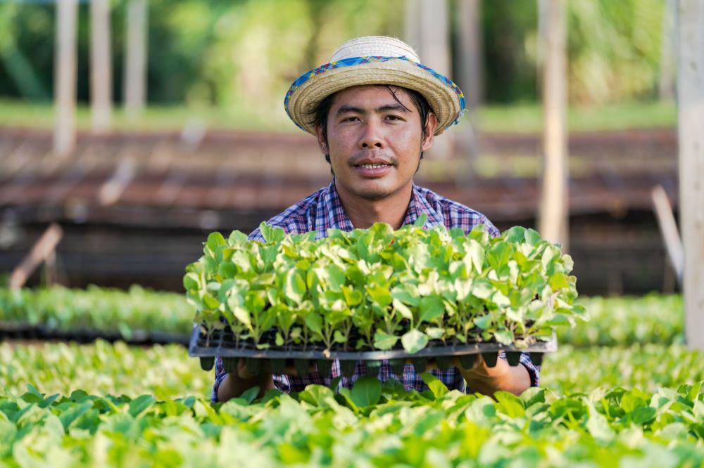 pexels.com/Sorapong Chaipanya