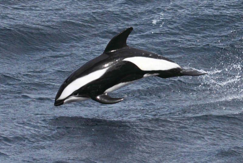 ourbreathingplanet.com