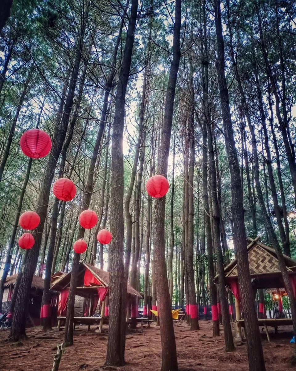 instagram.com/hutanpinustangkalaka