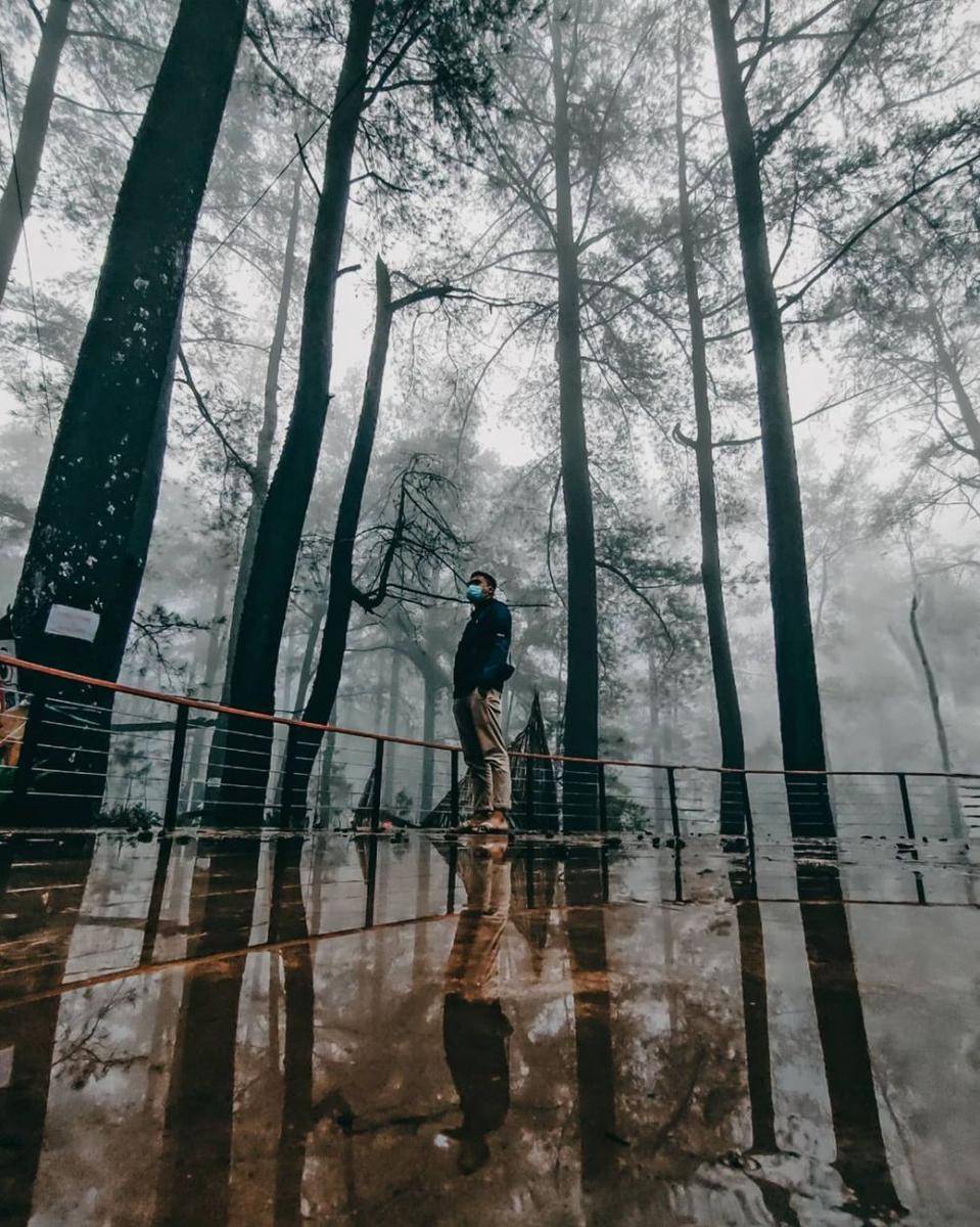 instagram.com/kayu__mati