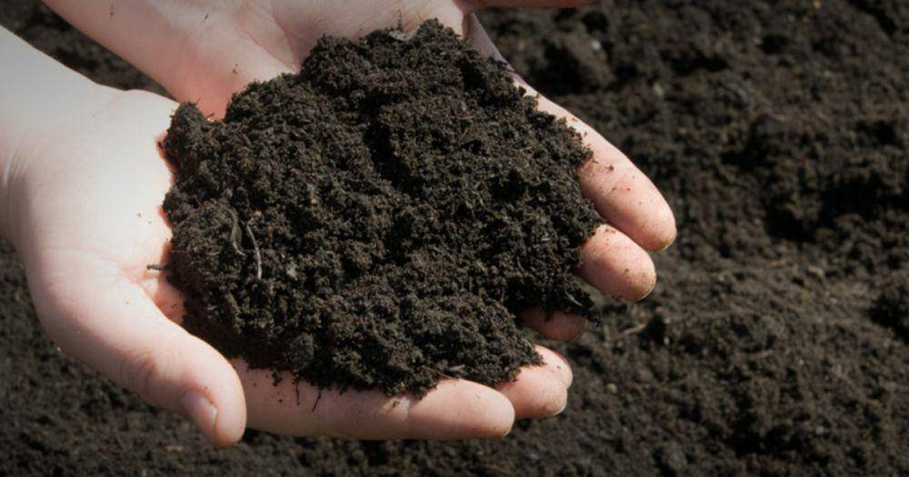 onlinesoil.co.uk