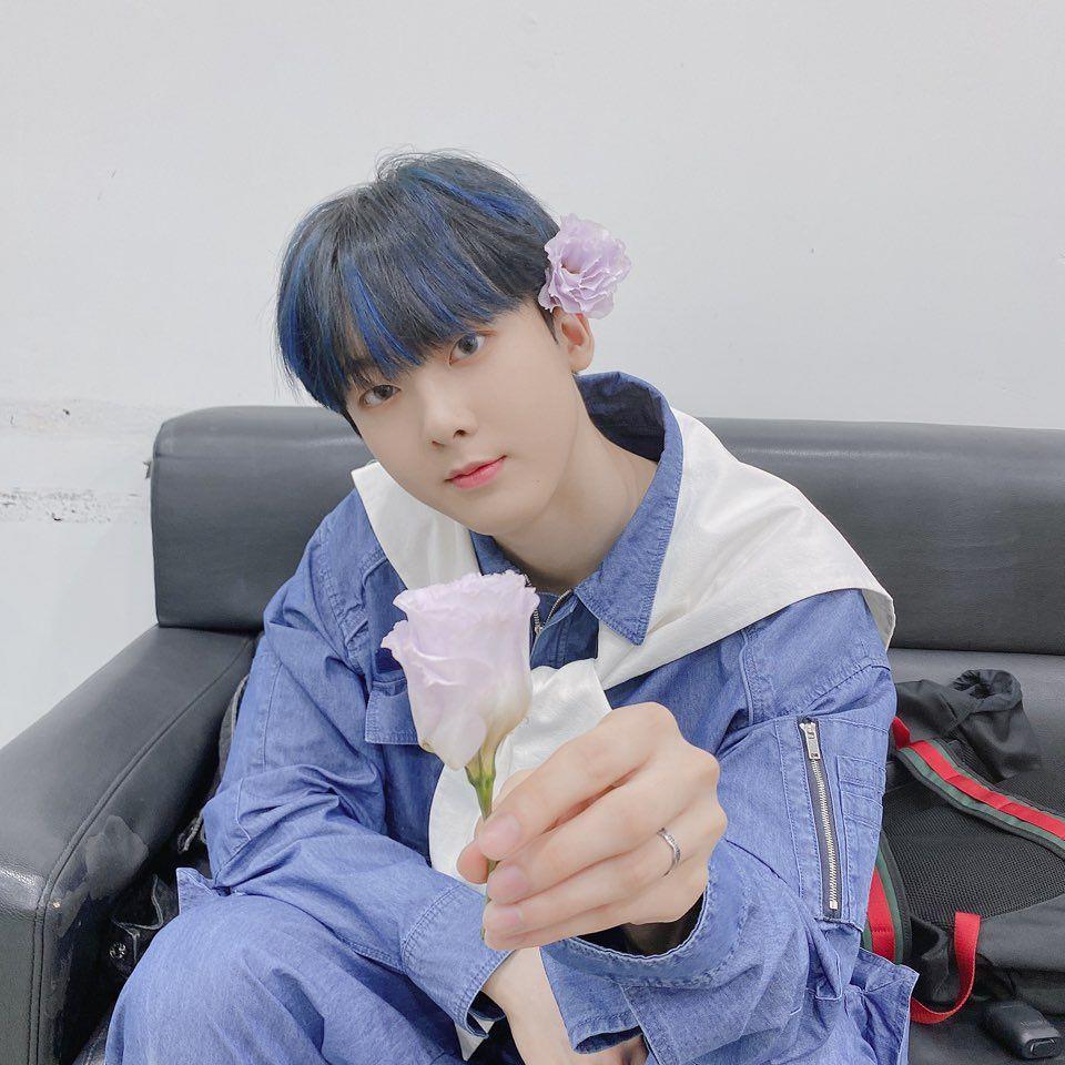 instagram.com/ddana_yoon
