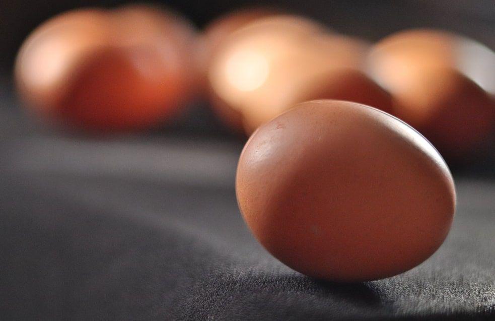 ilustrasi telur (pexels.com/@iris-art)
