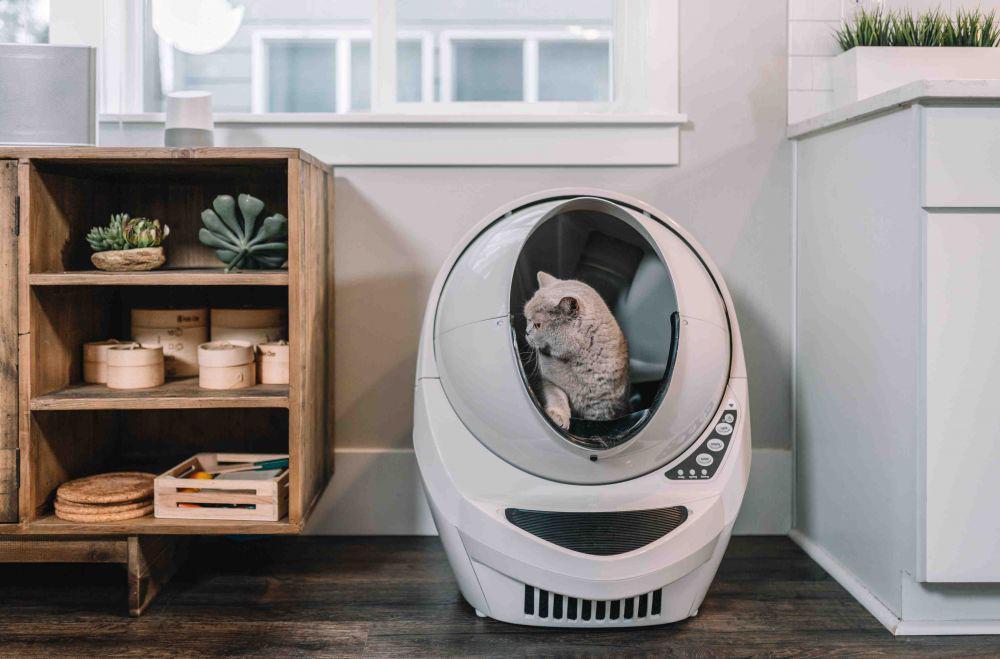 bau yang tidak disukai kucing