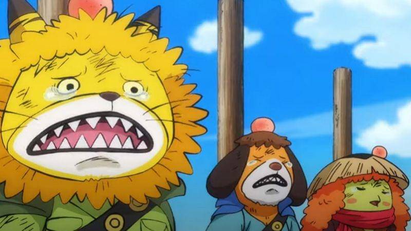 Nekomamushi, Inuarashi, dan Kawamatsu kecil. (Toei Animation/One Piece)