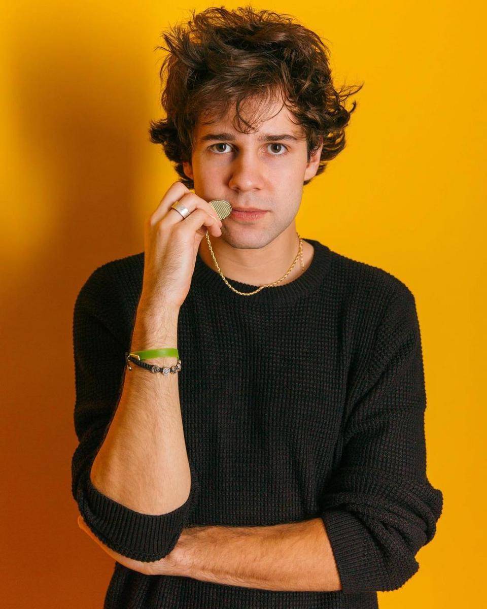 instagram.com/daviddobrik
