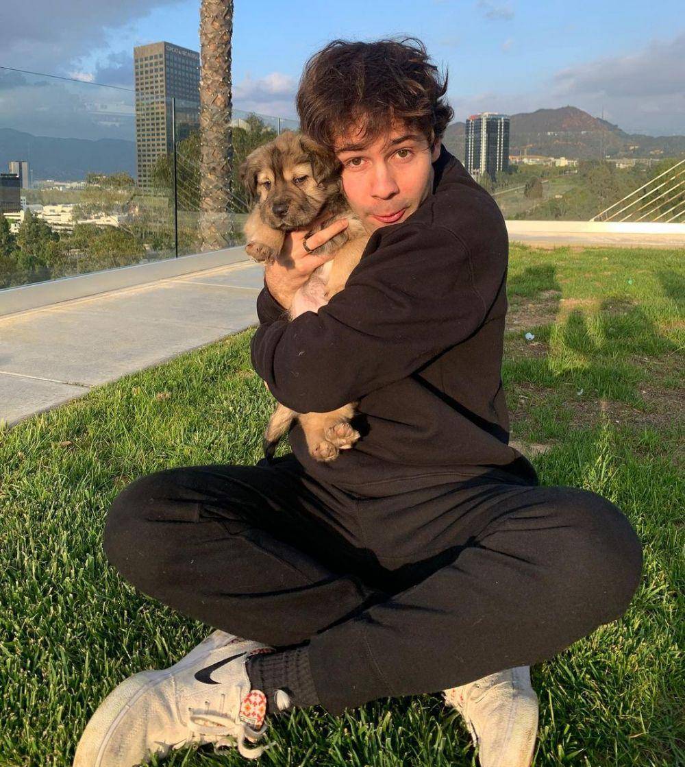 instagram.com/daviddobrik