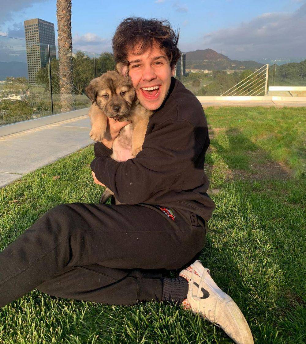 instagram.com/daviddobrik