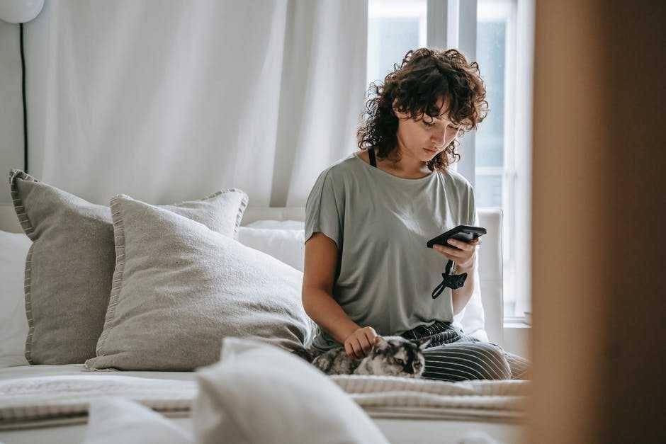 Pexels.com/Sam Lion