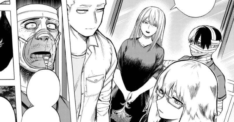 mangaplus.shueisha.co.jp/My Hero Academia