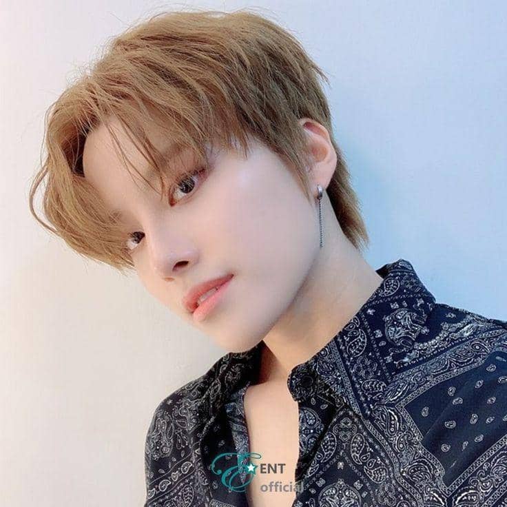 twitter.com/ELASTofficial