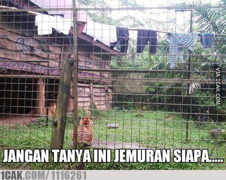 1cak.com/1116261