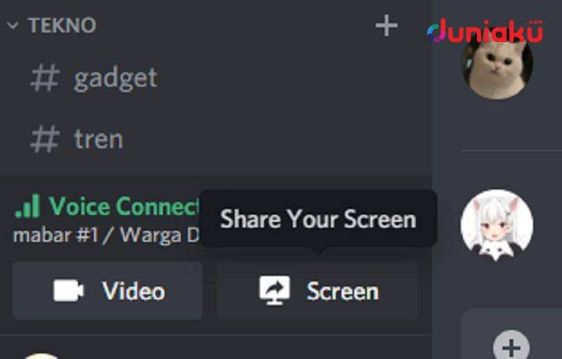 Opsi share screen Discord. duniaku.com/Adhitya Daniel