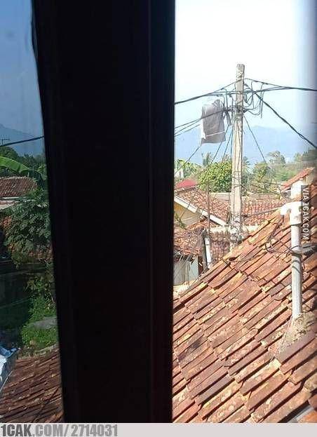 1cak.com/2714031