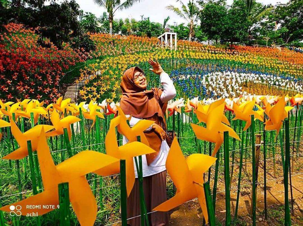 instagram.com/marigold.garden