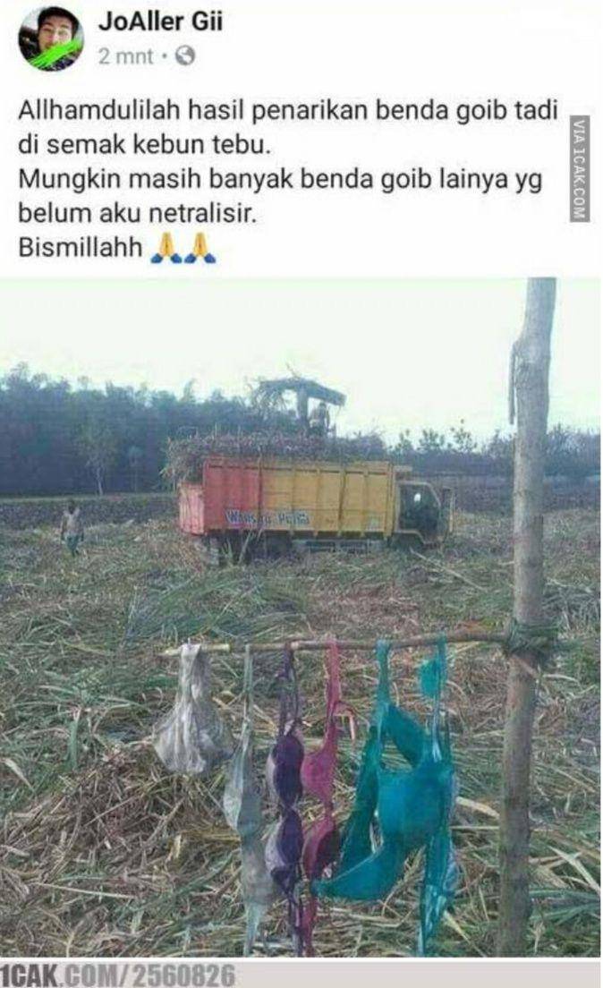 1cak.com/2560826