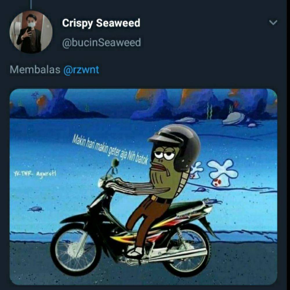 twitter.com/bucinSeaweed