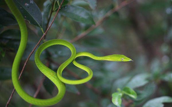 travel.mongabay.com