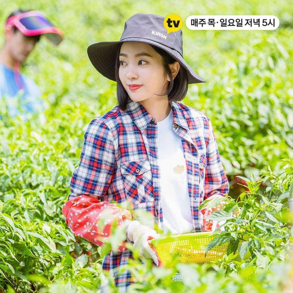 instagram.com/kakaotv.official