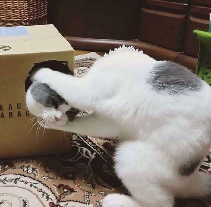 reddit.com/r/confusing_perspective
