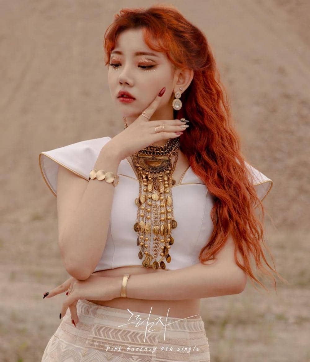 Instagram.com/pinkfantasy_official