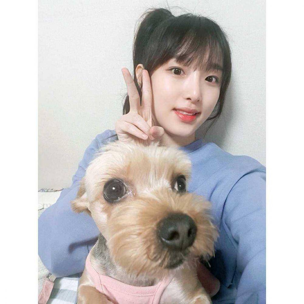 instagram/official_izone
