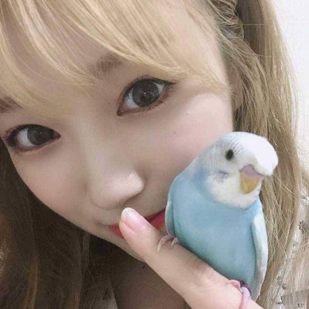 instagram/official_izone