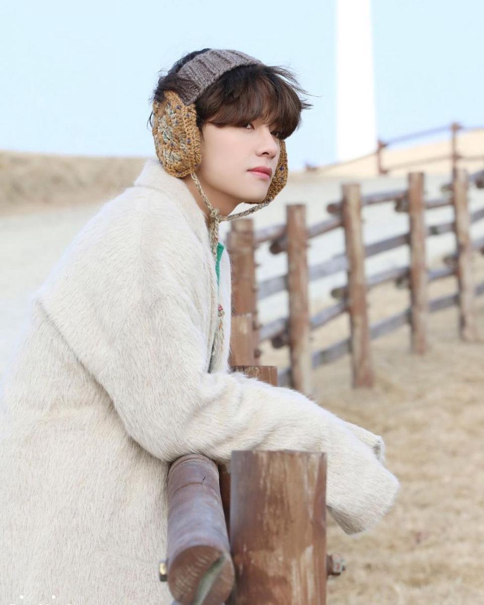 Instagram.com/bts_v