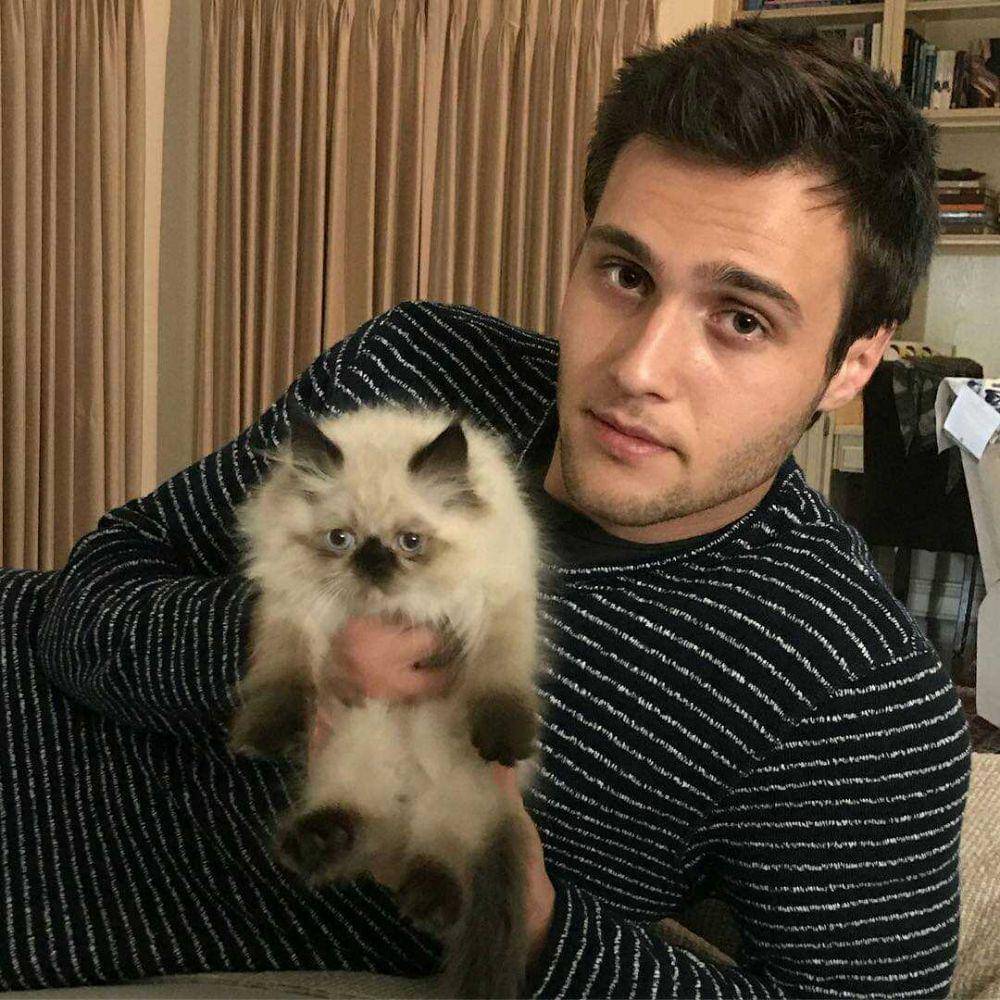 instagram.com/cameronmoulene