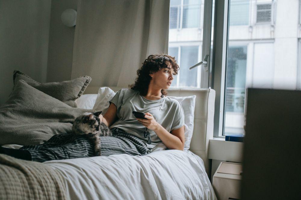 pexels.com/Sam Lion