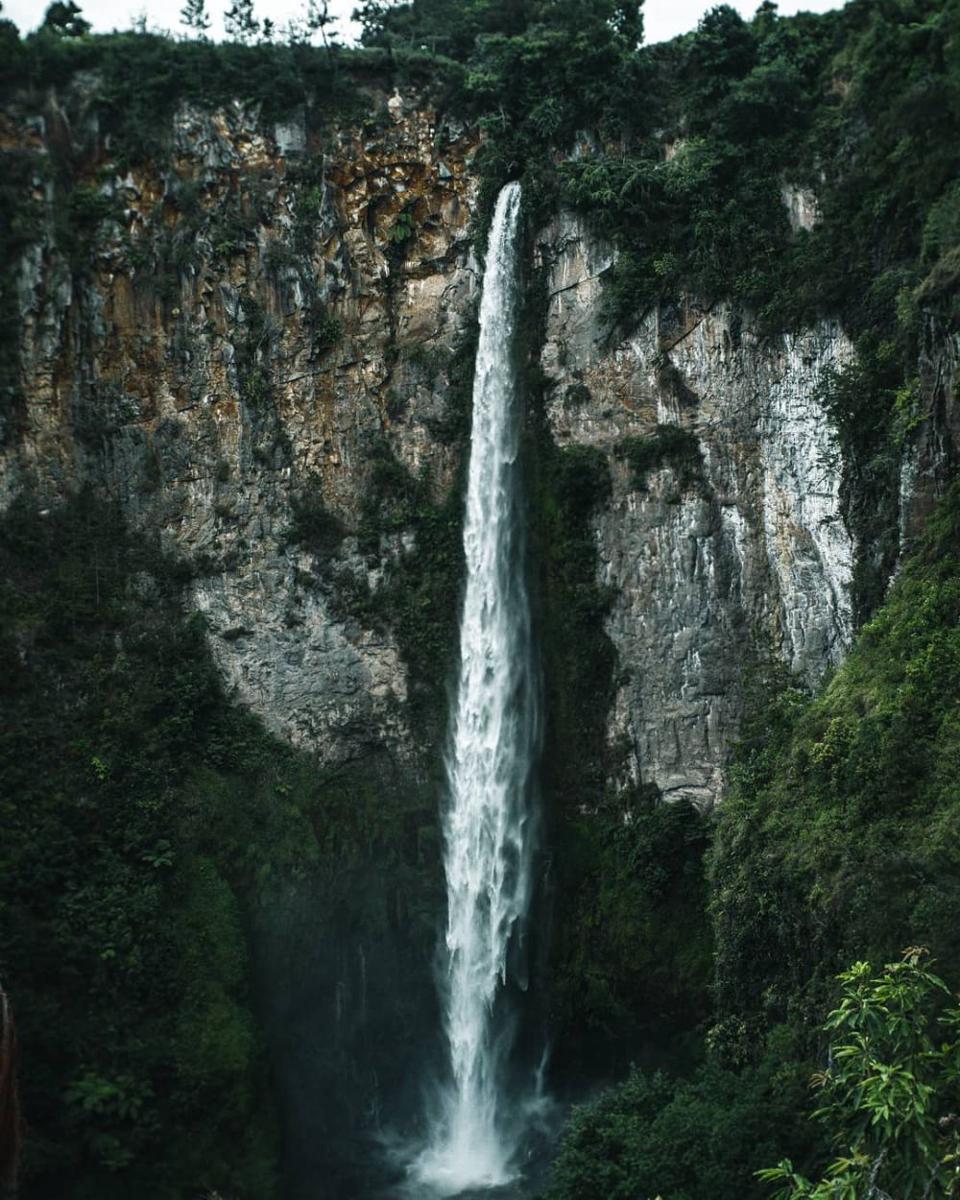 instagram.com/deartarigan