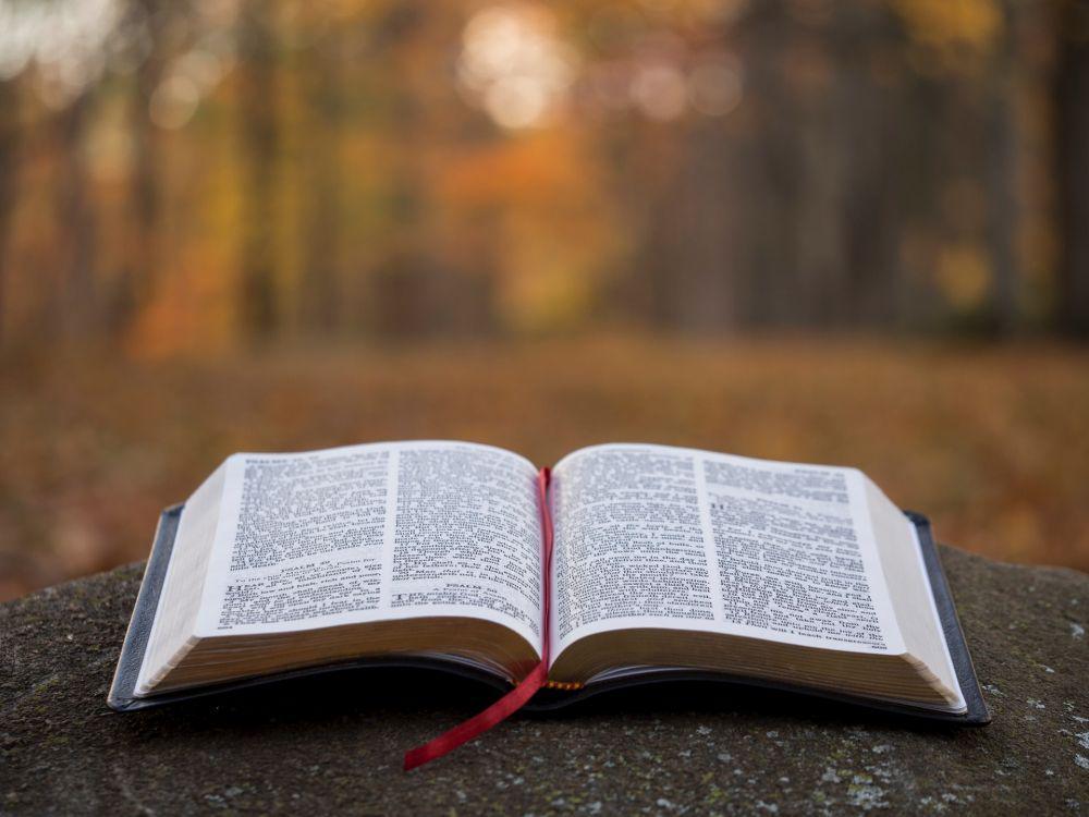15 Ayat Alkitab untuk Sumber Motivasi Setiap Saat, Jangan Menyerah!