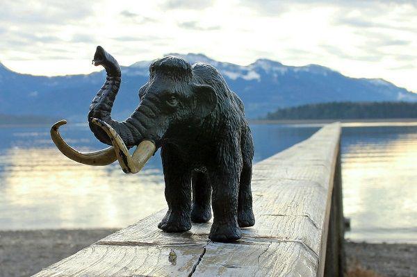 Ilustrasi mammoth. (Pixabay.com/Antranias)