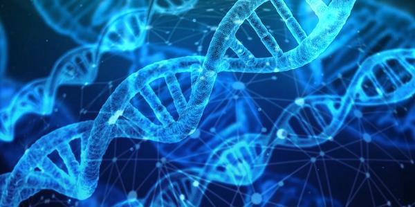 Ilustrasi DNA. (Pixabay.com/geralt)