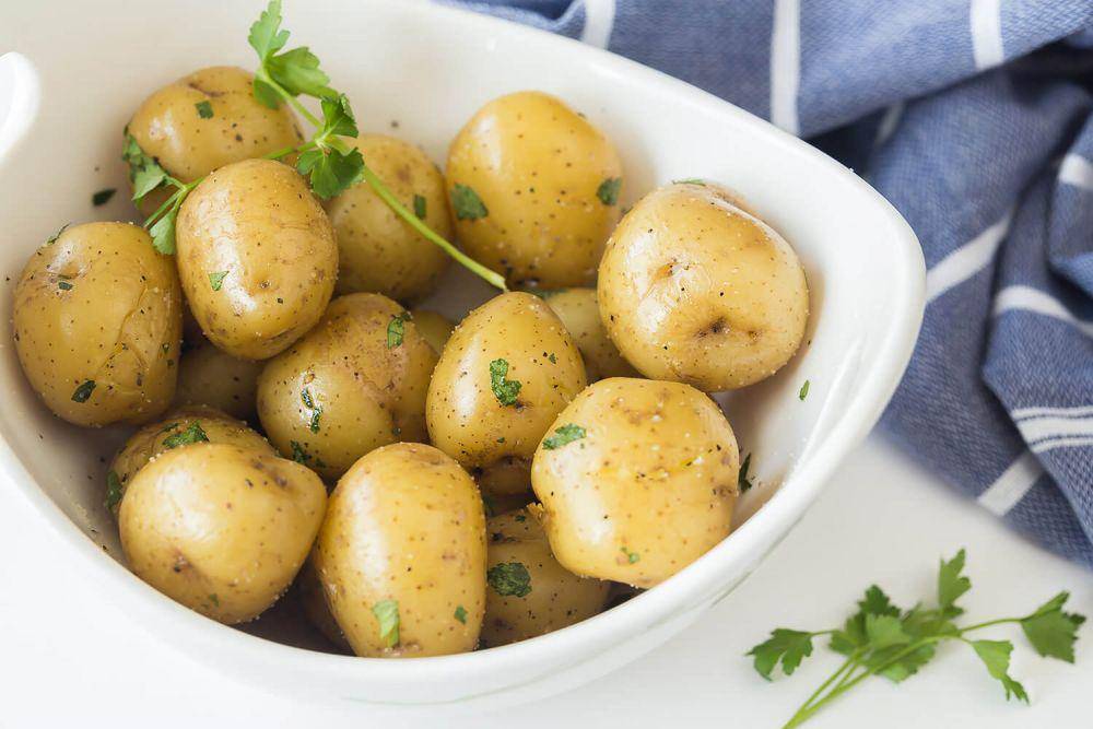 littlepotatoes.com