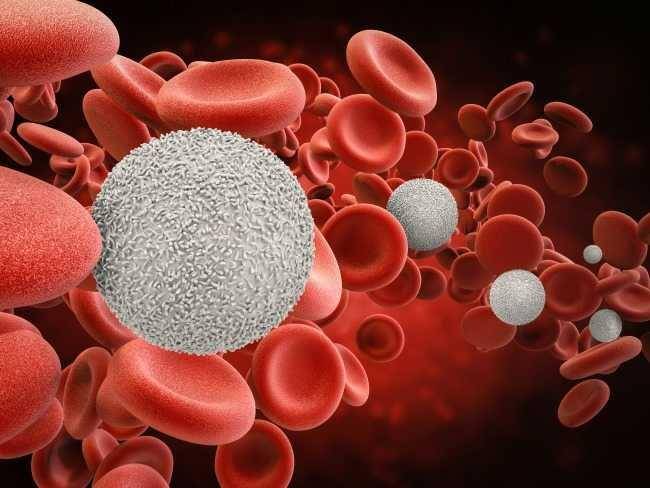 ilustrasi neutropenia (cancertherapyadvisor.com)
