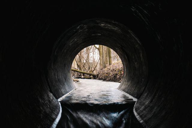 unsplash.com/Kevin Maillefer