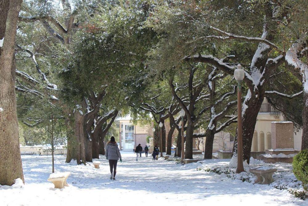 4 Fakta Badai Dingin Ekstrim yang Terjang Texas