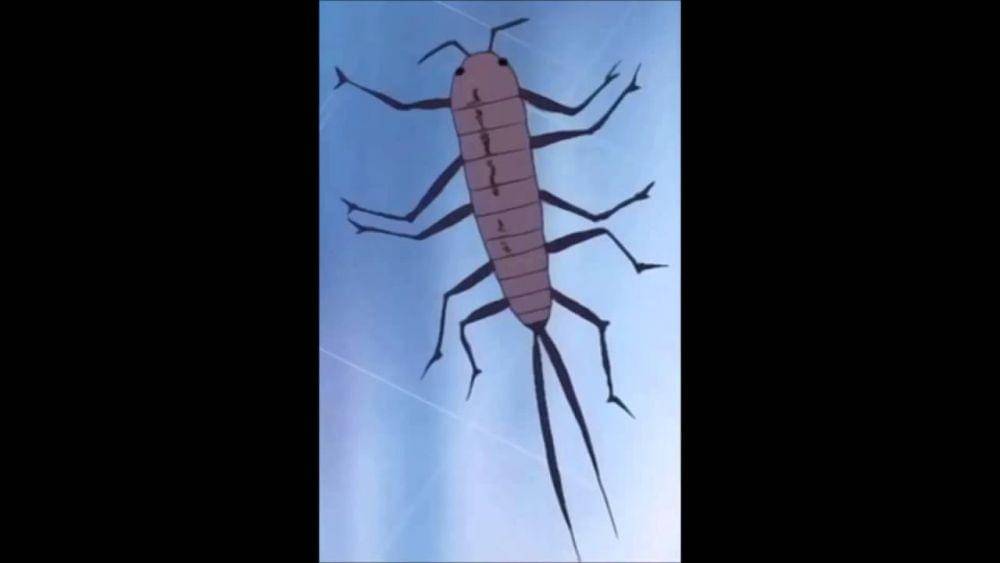 Toei Animation/One Piece