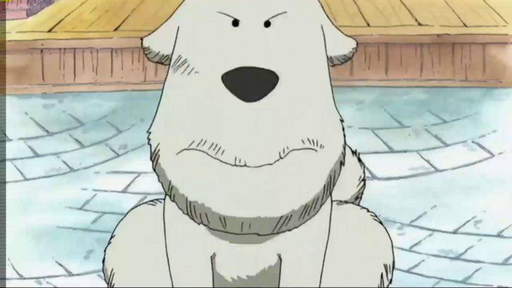 Toei Animation/One Piece