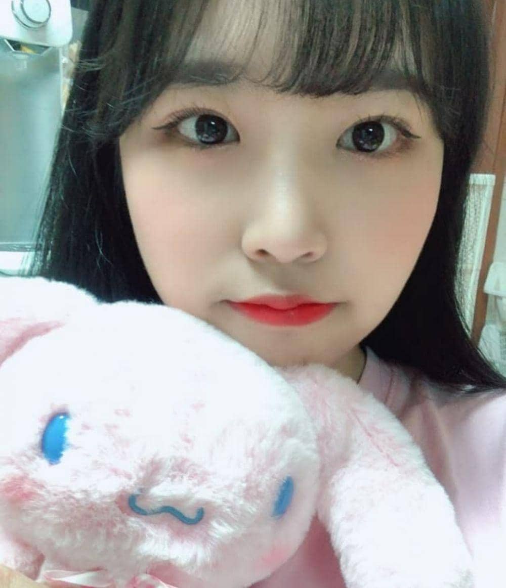 instagram.com/pinkfantasy_official
