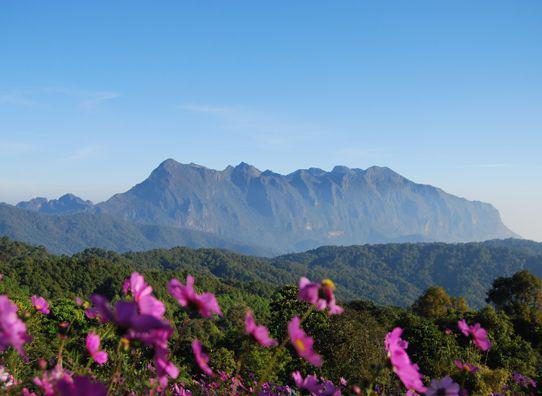Tourismthailand.org