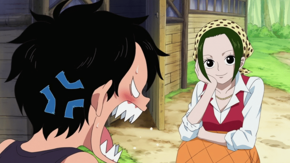 Toei Animation/One Piece