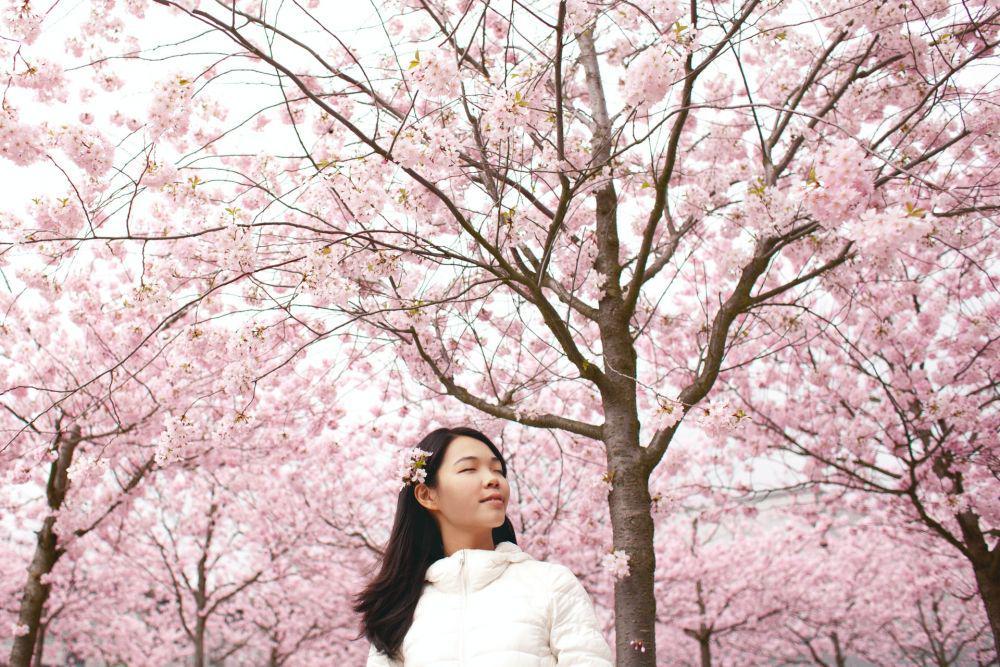 5 Fakta tentang Kaizen, Filosofi ala Jepang untuk Lenyapkan Rasa Malas