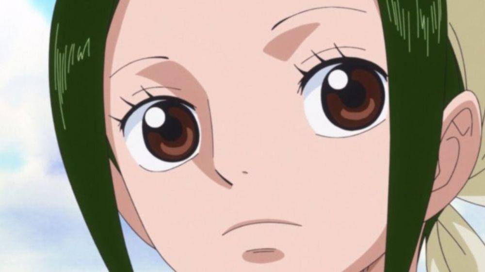 Toei Animation/One Piece