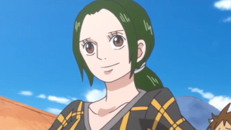 Toei Animation/One Piece