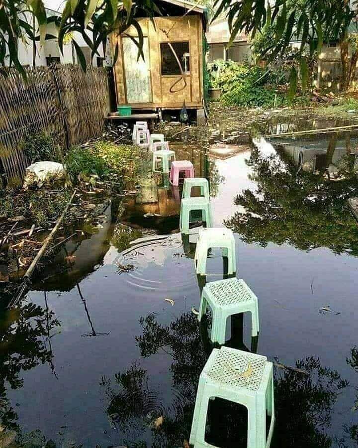 Instagram pembawa_ketololan