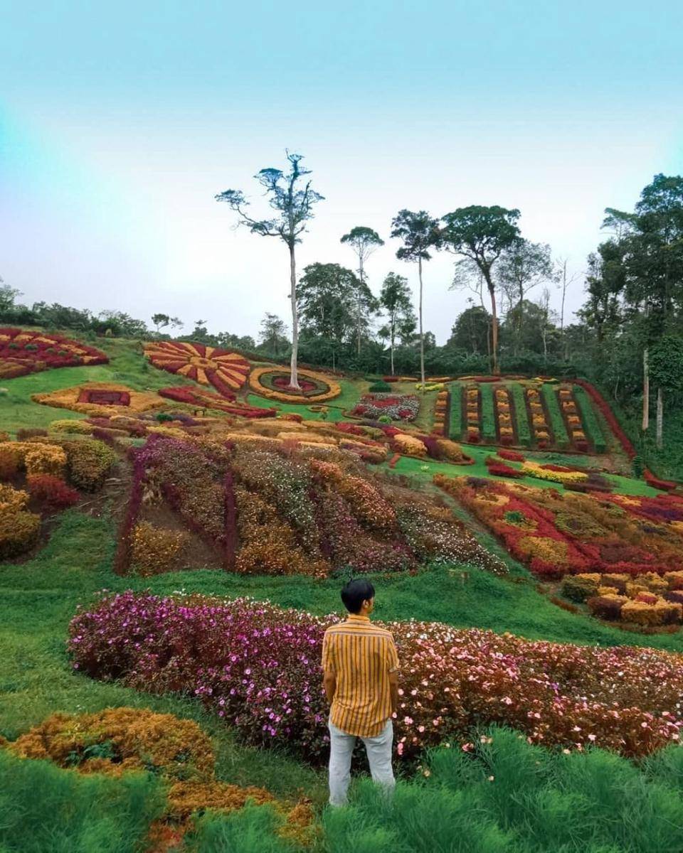 instagram.com/irfanrajib18